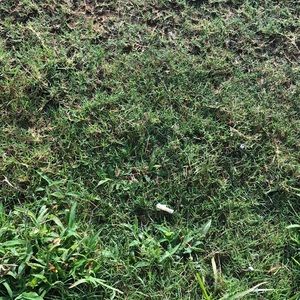 Meet your Posher, Barrett